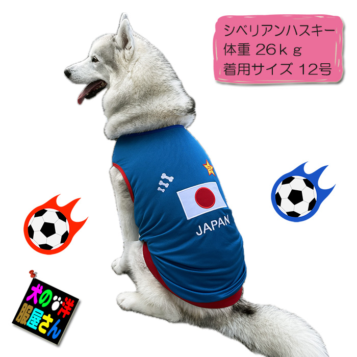 bd-japan-xs_13.jpg