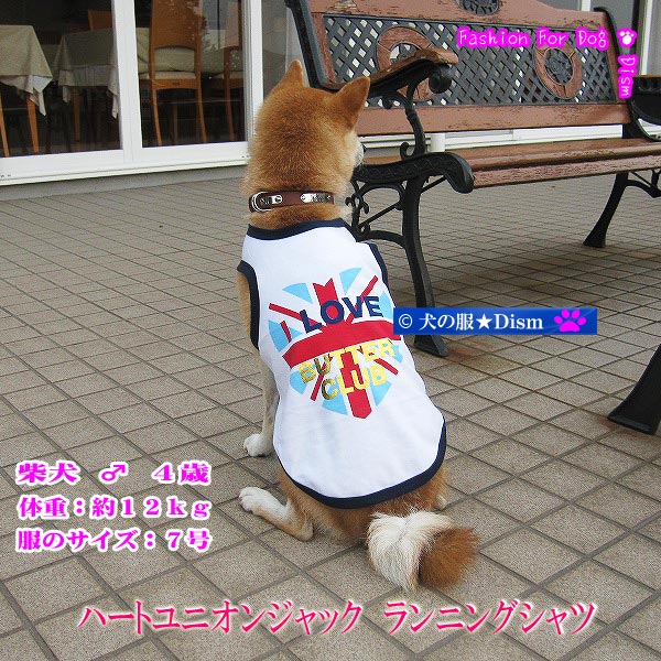 犬服 ハートユニオンジャック・ランニングシャツ（大型犬用） 犬の服2