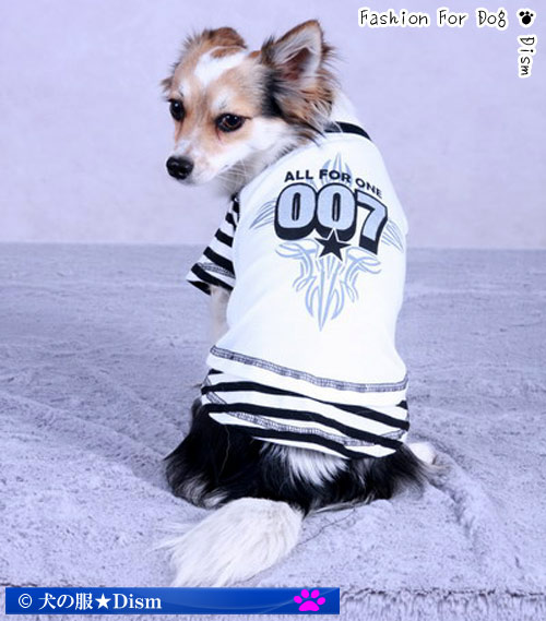 犬服 十字架柄Tシャツ All For One 007（超小型犬）犬の服2点購入で
