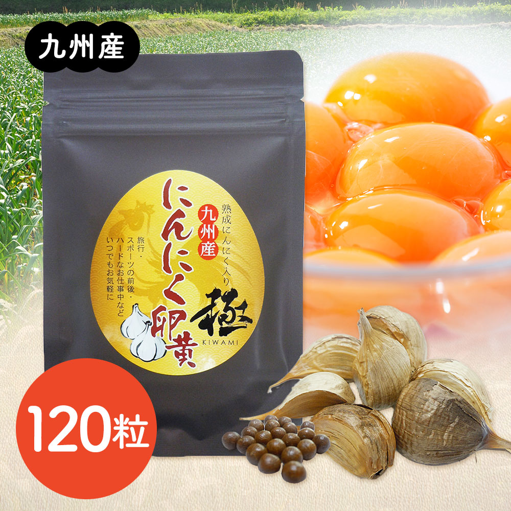 九州産にんにく卵黄 極 サプリ 熟成乾燥にんにく S-アリルシステイン 特許製法 無添加 丸薬 伝統 活力 スタミナ 健康 美容