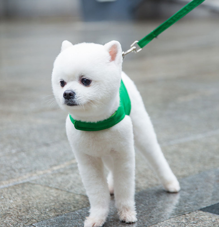 犬 撥水ベスト型ハーネス 恐竜ハーネス リード付き（小型犬 中型犬用