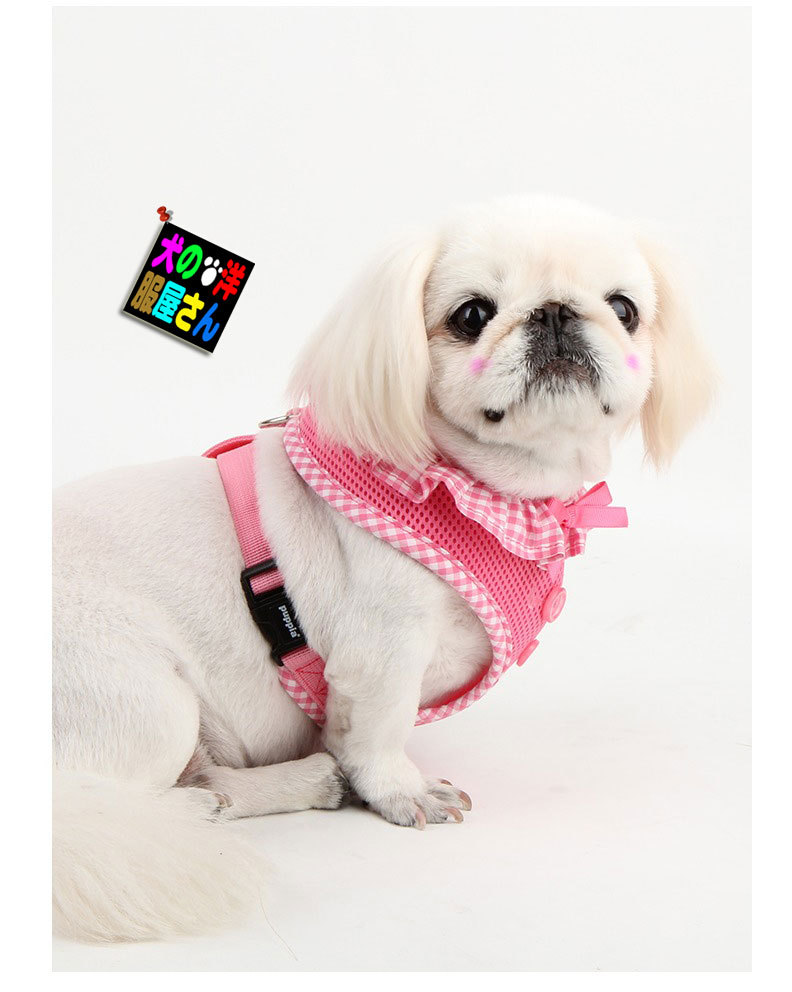 20393円 【驚きの値段で】 XYLFF ダークグリーンパーソナライズドッグハーネスセットデザイナーゴールドバックルペットボウカラーリーシュプーポップバッグギフト子犬男性犬のアクセサリー Color : A Size Medium