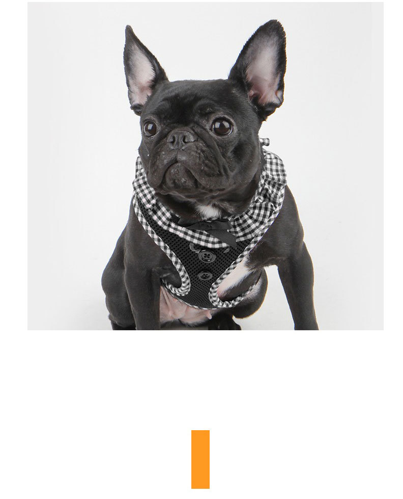 20393円 【驚きの値段で】 XYLFF ダークグリーンパーソナライズドッグハーネスセットデザイナーゴールドバックルペットボウカラーリーシュプーポップバッグギフト子犬男性犬のアクセサリー Color : A Size Medium