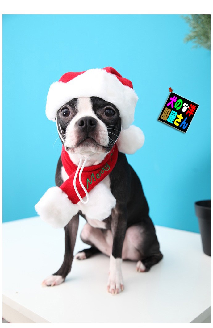 犬用 PUPPIA サンタハット S M Lサイズ(メール便送料無料) パピア クリスマス チワワ トイプードル シーズー マルチーズ  ミニチュアダックス ポメラニアン パグ :ppa-pddf-sh23-1:犬の洋服屋さん Yahoo!店 - 通販 - Yahoo!ショッピング