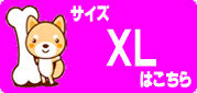 XL