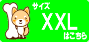 XXLL