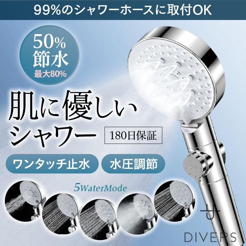 dvrs000018.jpg