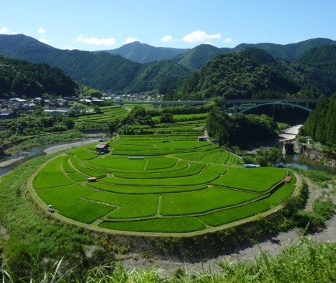 紀州有田ヒノキ工房 ロゴ