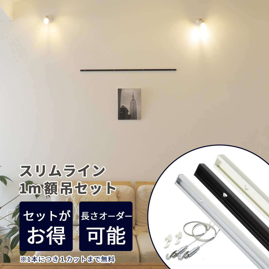 classico（DIYパートナー） classico ピクチャーレール スリム
