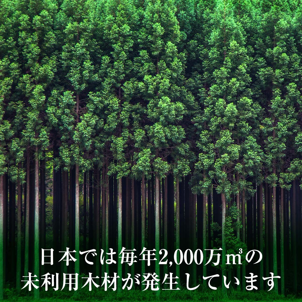 日本では毎年2000万立方メートルの未利用木材が発生しています