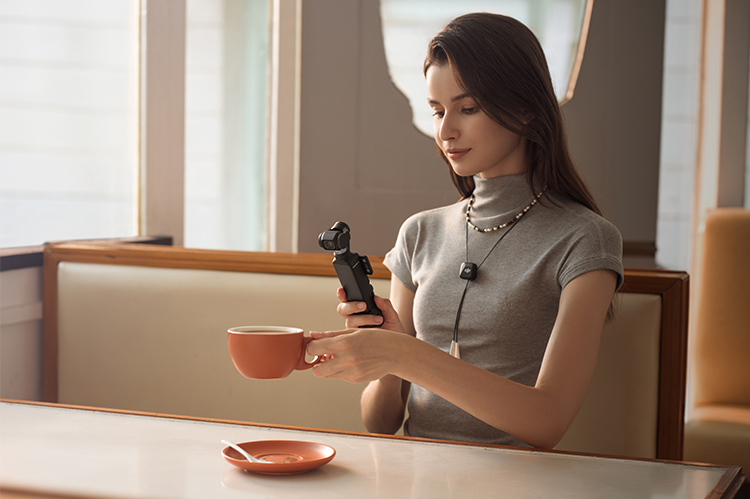 DJI FPV 送信機 2購入 - DJI Store