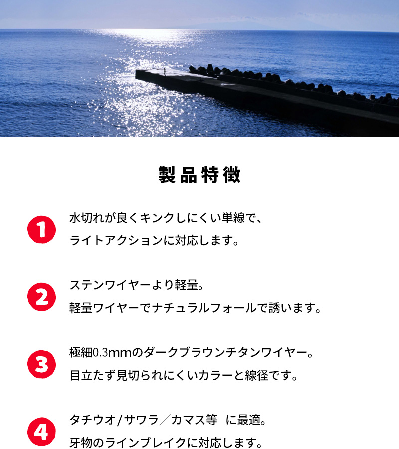 Amazon | ダイワ(DAIWA) ショアジギングロッド ジグキャスター