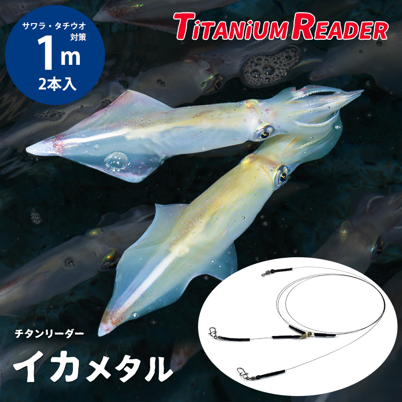 日本に ワイヤーリーダー 30cm 30本 太刀魚 サゴシ ルアー 釣り 黒 ブラック