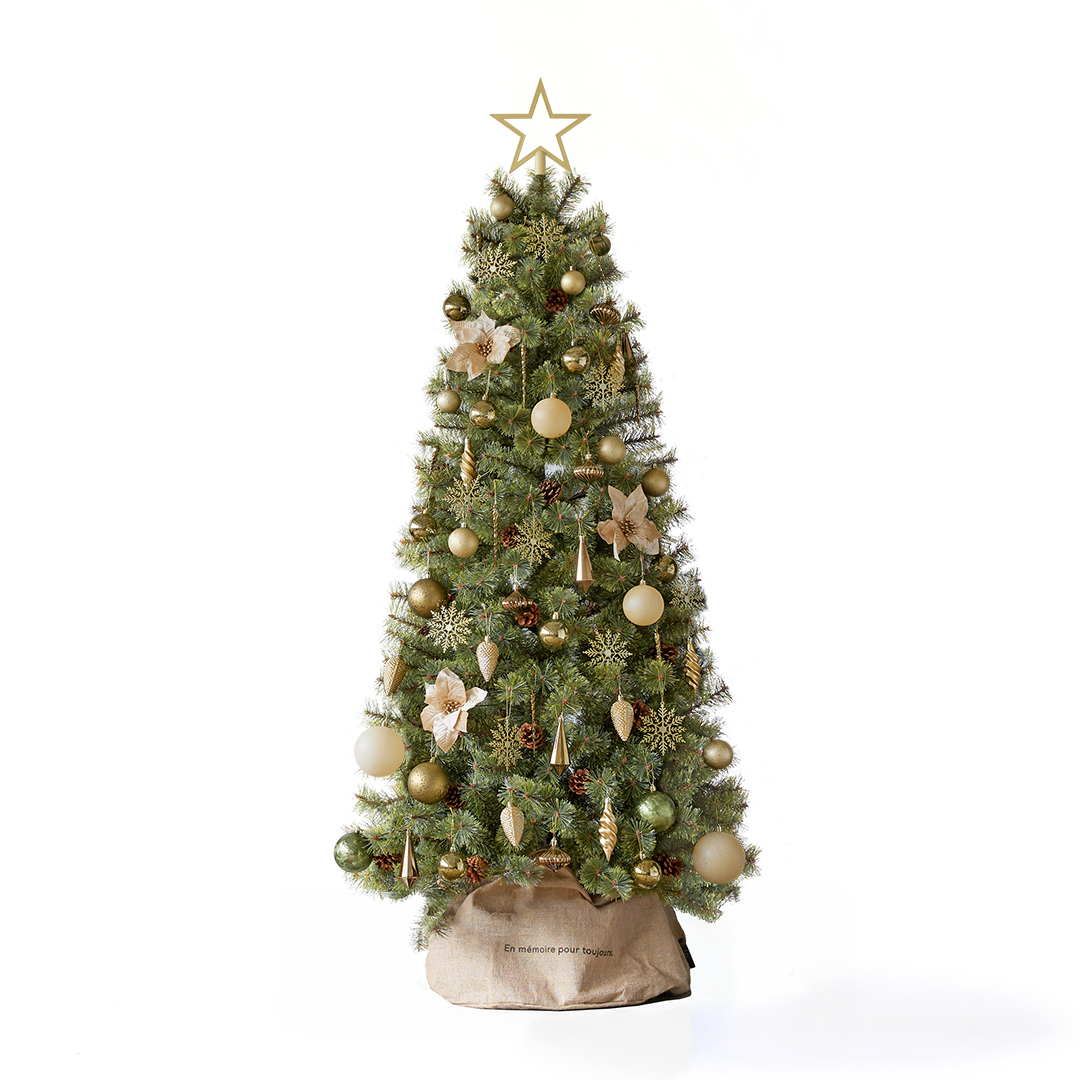 Alsace tree®︎ アルザスツリー クリスマスツリー 樅 120サイズ アルザスツリー 樅 – alsace_tree