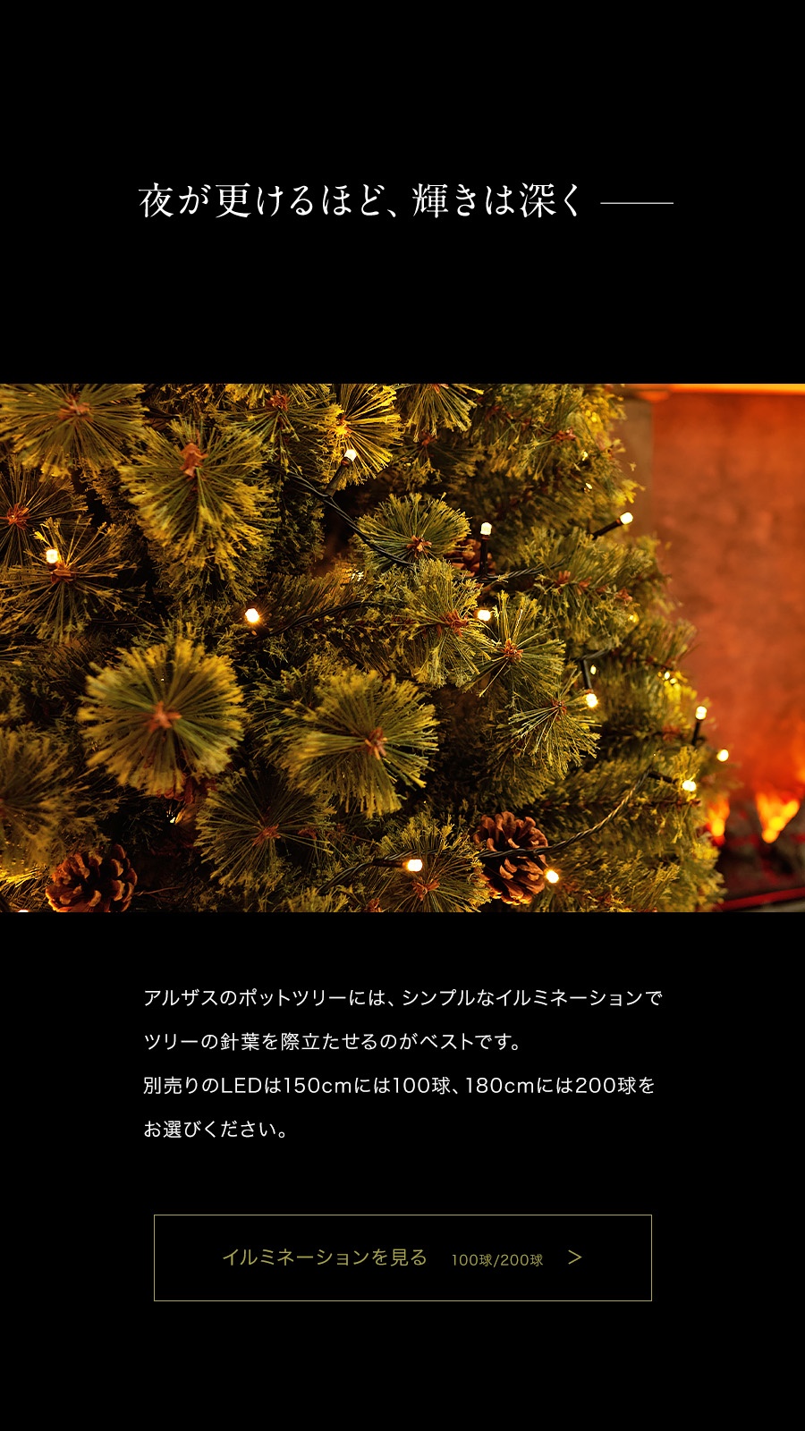 Alsace 【公式 Alsace(R) 正規品】 ポットツリー Coffret(コフレ