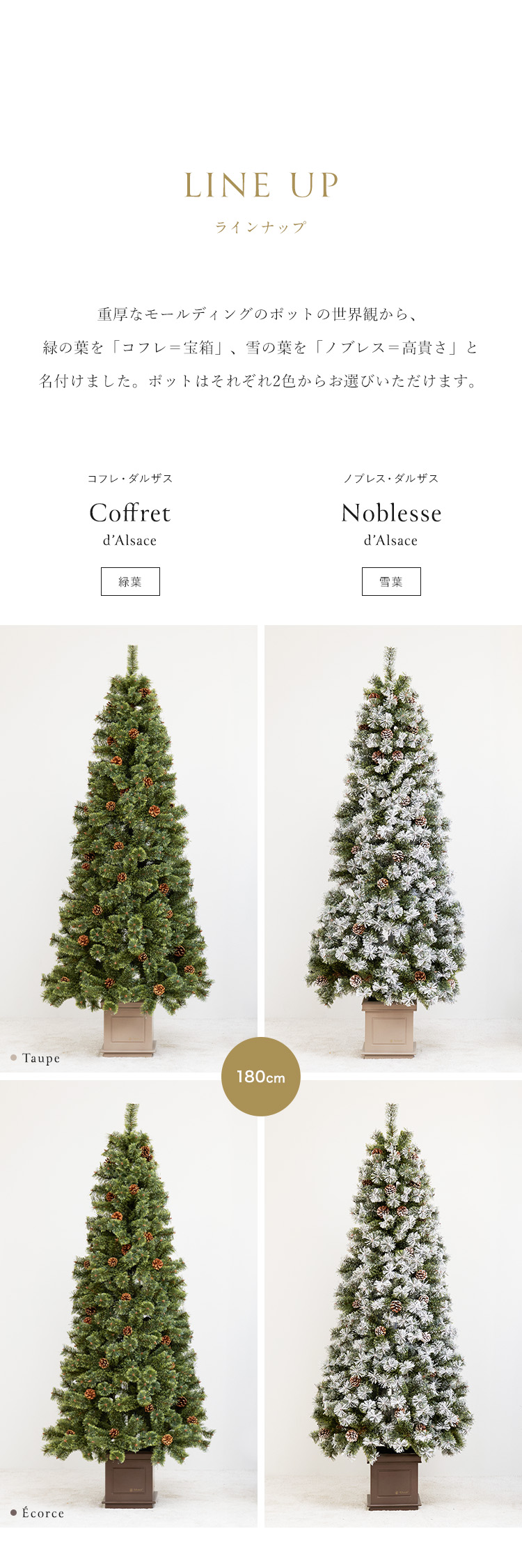Coffret 150cm クリスマスツリー　アルザスツリー Alsace 【公式 Alsace(R) 正規品】 ポットツリー Coffret(コフレ