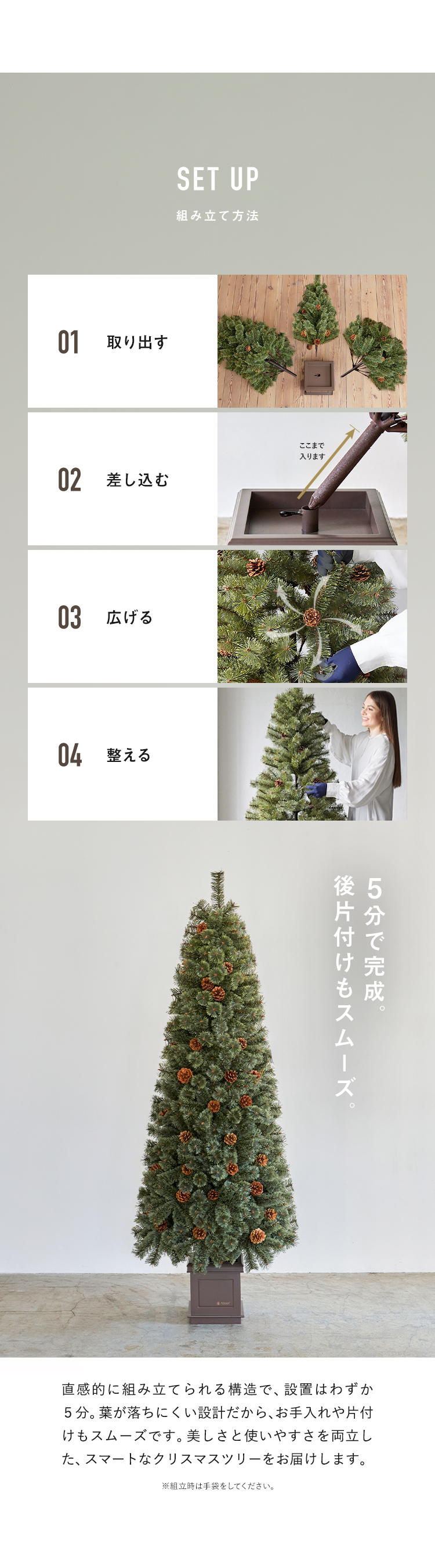 Alsace 【公式 Alsace(R) 正規品】 ポットツリー Coffret(コフレ