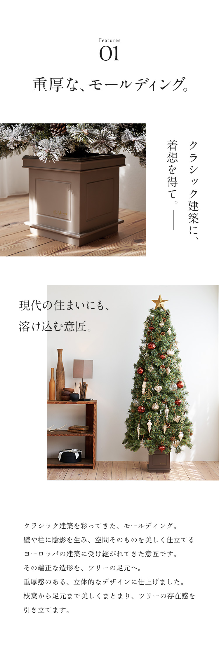 Alsace 【公式 Alsace(R) 正規品】 ポットツリー Coffret(コフレ