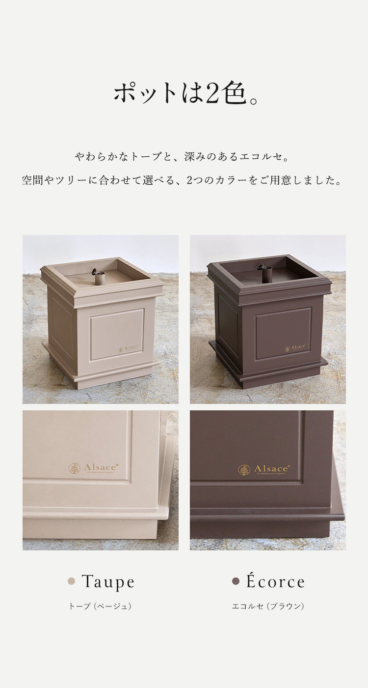 Alsace 【公式 Alsace(R) 正規品】 ポットツリー Coffret(コフレ