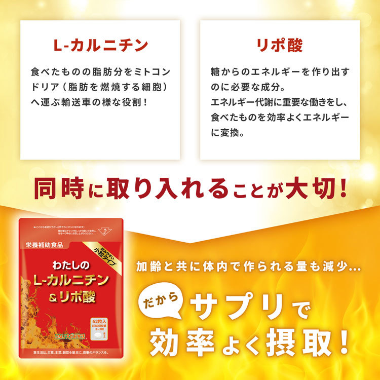 L-カルニチン　リポ酸　同時に取り入れることが大切