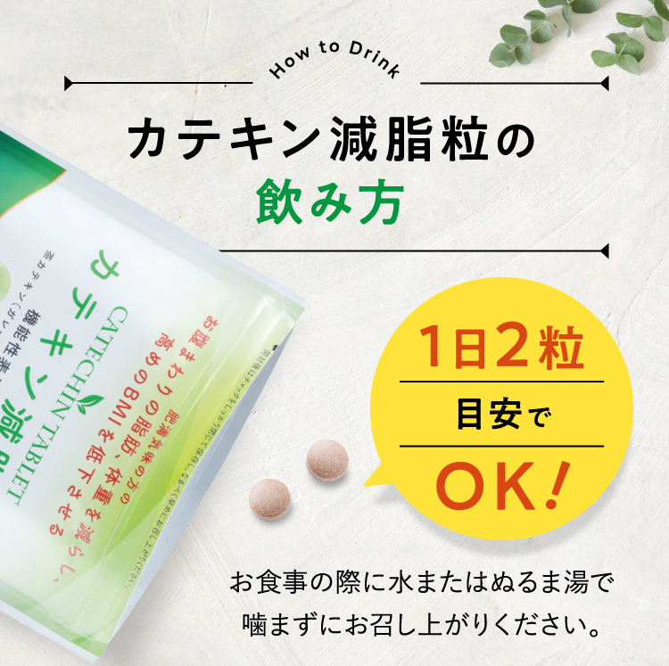 カテキン減脂粒 6袋セット 10%OFF DMJえがお生活 31日分 日本製｜お腹 