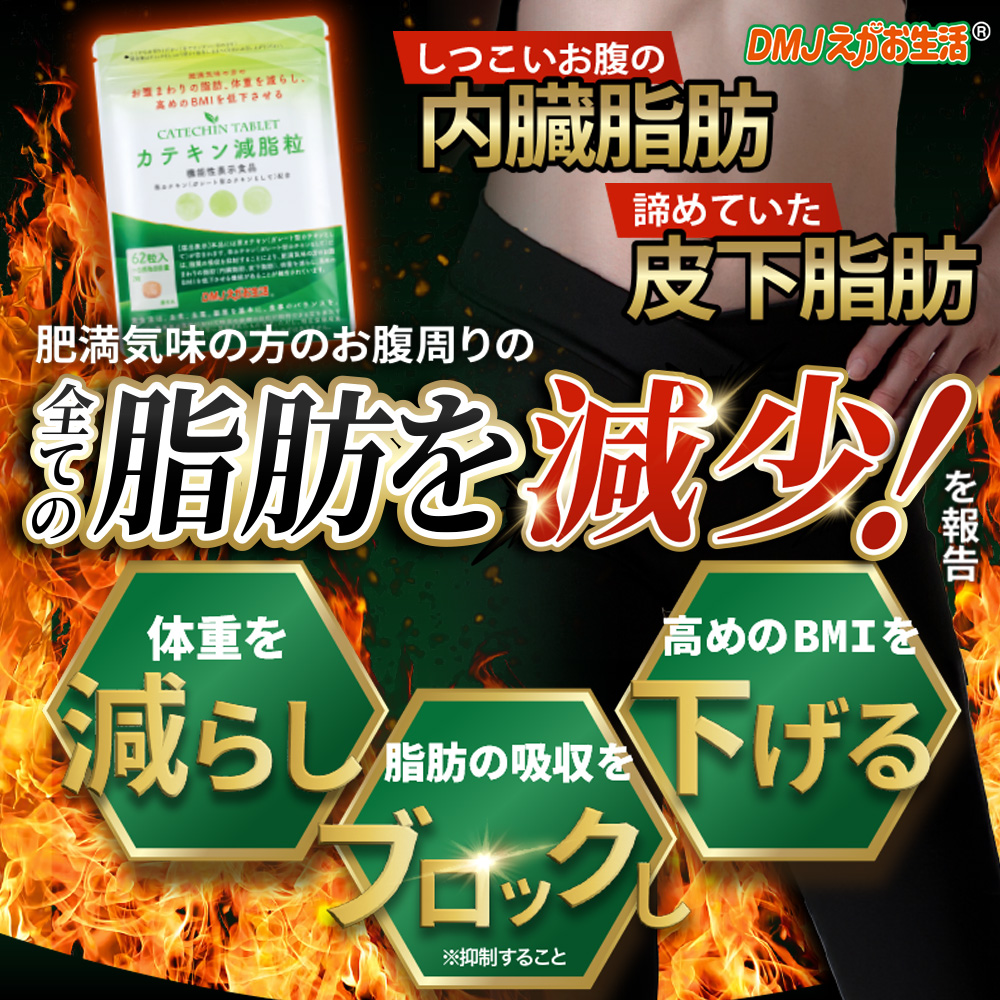 カテキン減脂粒　3袋 DMJえがお生活 【公式】 カテキン減脂粒 カテキンサプリ 茶カテキン