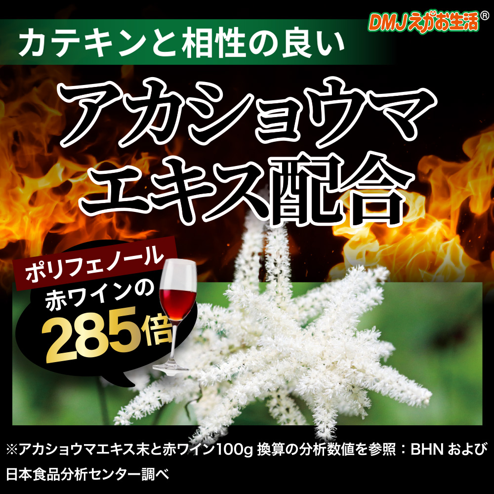 DMJえがお生活 【公式】 カテキン減脂粒 カテキンサプリ 茶カテキン
