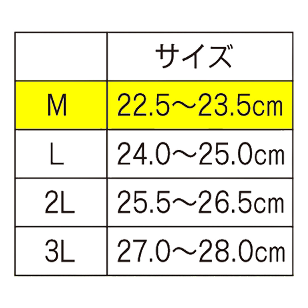 DMJえがお生活 楽歩人ソールpro ラフット ソール 中敷き インソール 靴