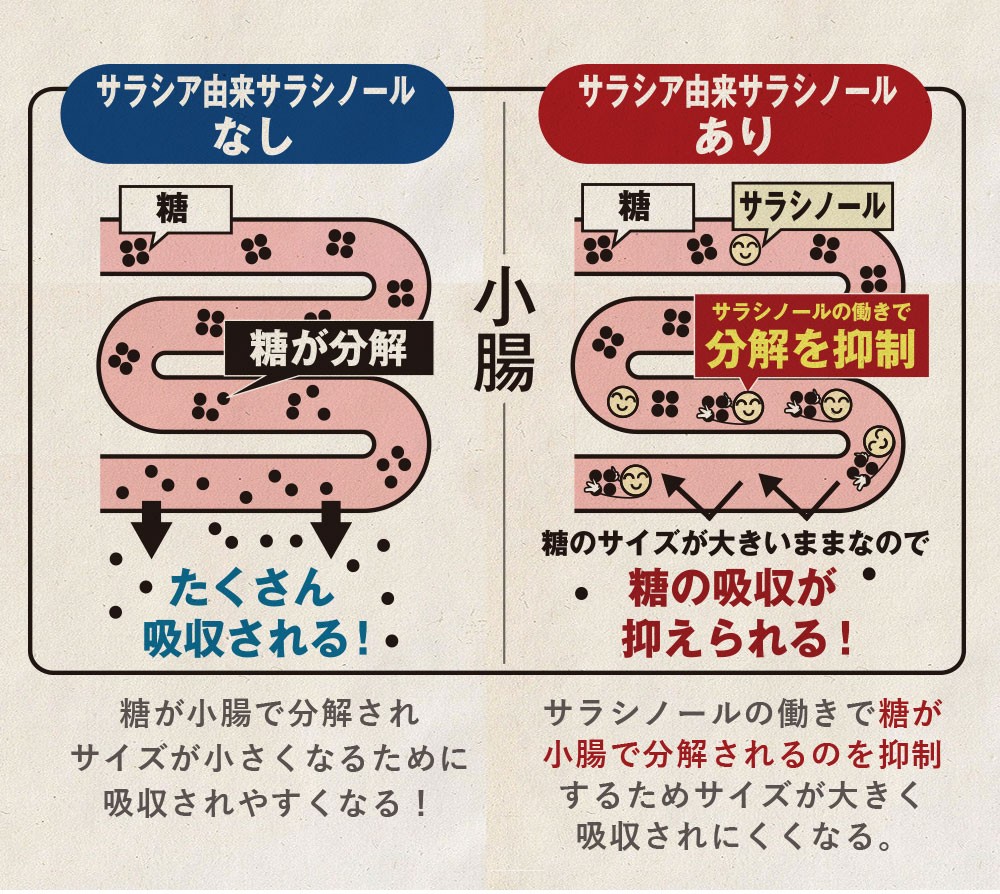 糖カロセーブ 31日分 機能性表示食品 DMJえがお生活 血糖値下げる