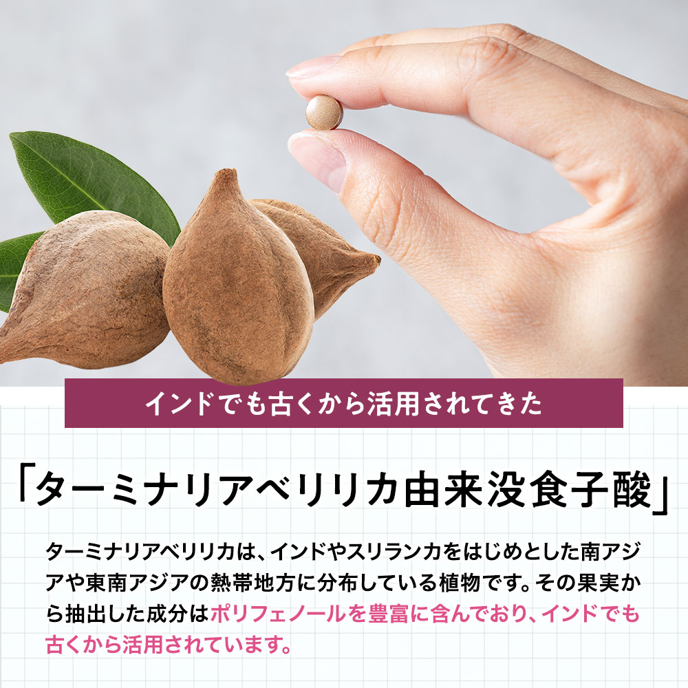 おなかの脂肪を減らす糖脂ケア DMJえがお生活 31日分 日本製 血糖値 下げる サプリメント 血糖値 中性脂肪 下げる サプリ  ターミナリアベリリカ ターミナリア :12801GD00203-h1:DMJえがお生活!店 通販 