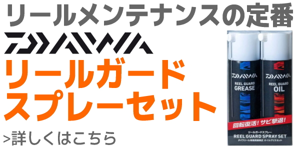 DAIWA（ダイワ） 21 ソルティガ IC 100H-DH 右ハンドル : dn-webshop