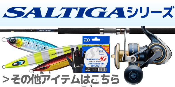 DAIWA（ダイワ） ソルティガ R (ジギングモデル) J60S-3 HI : dn