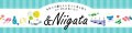 DIPaletteWEBショップ&Niigata ロゴ