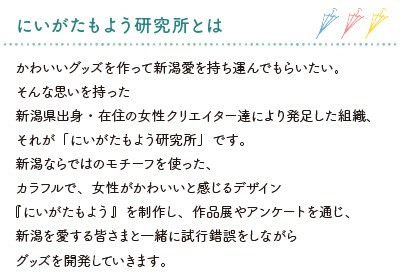 商品説明
