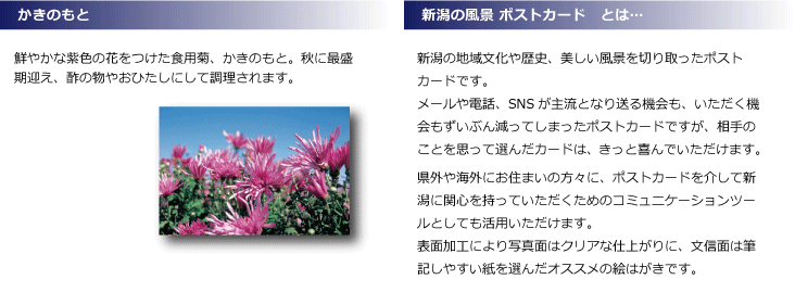 ポストカード かきのもと Fukei Kakinomoto 第一印刷所webショップ Niigata 通販 Yahoo ショッピング