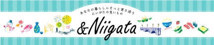 DIPaletteWEBショップ&Niigata ヘッダー画像
