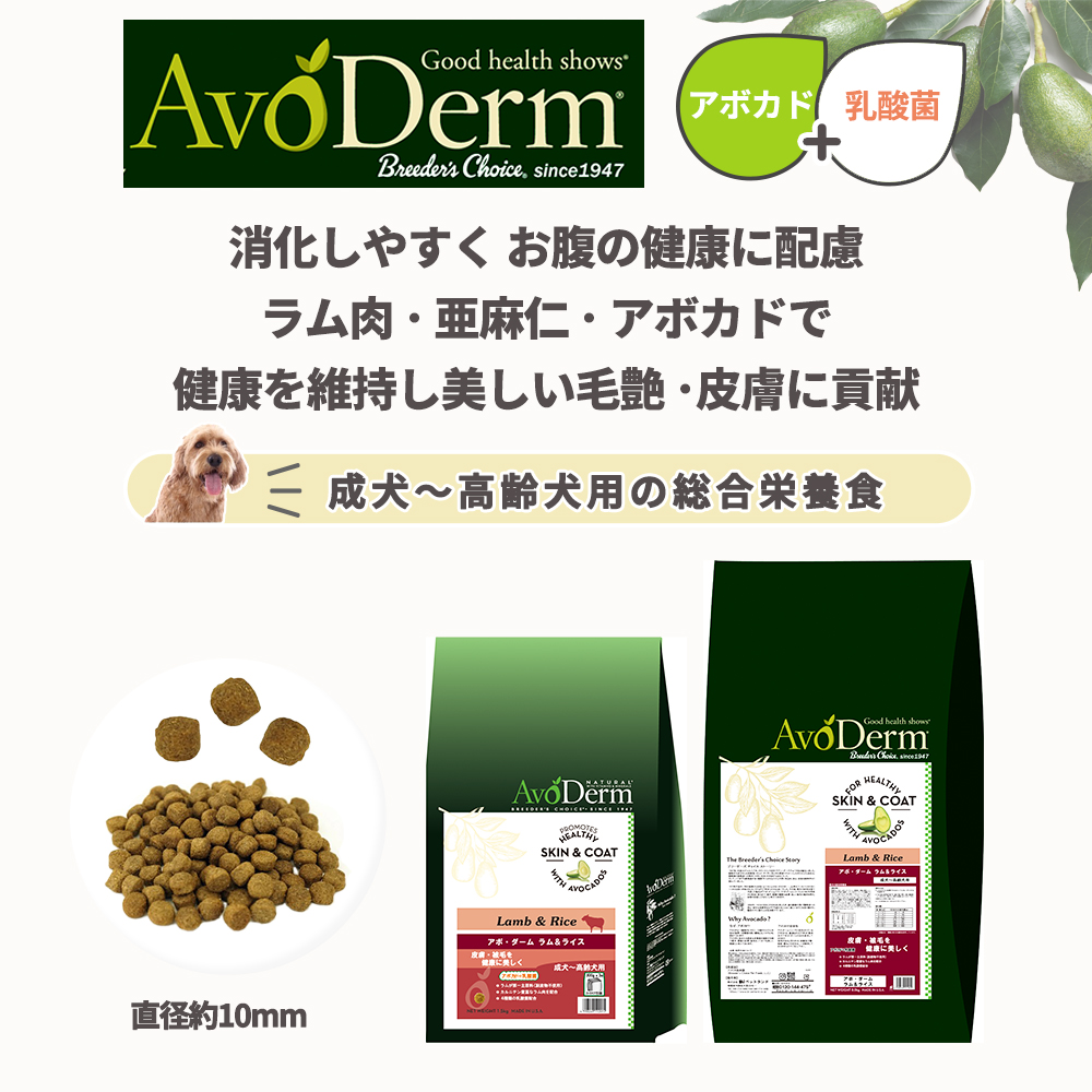 AvoDerm ラム＆ライス ドライフード 大袋 アボ・ダーム アボダーム ラム&ライス 8kg ドッグフード 犬 犬の