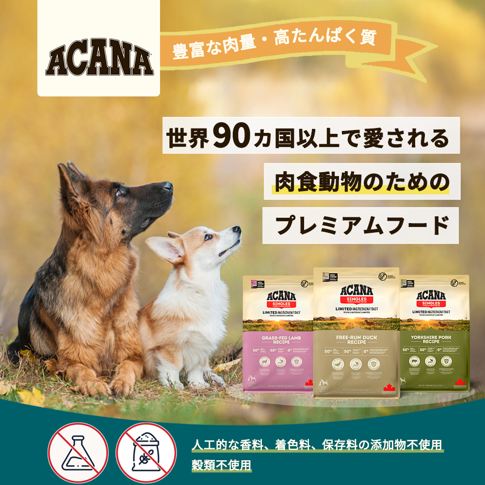 ACANA（アカナ） ワイルドプレーリードッグ 11.4kg : 豊富な品揃え