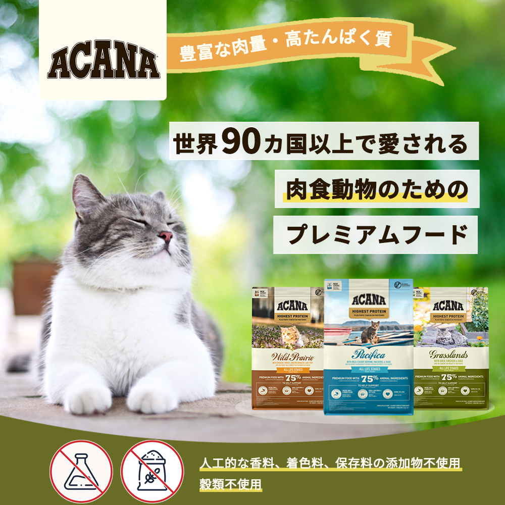 アカナクラシック アカナ インドアエントリー 4.5kg : 豊富な品揃え