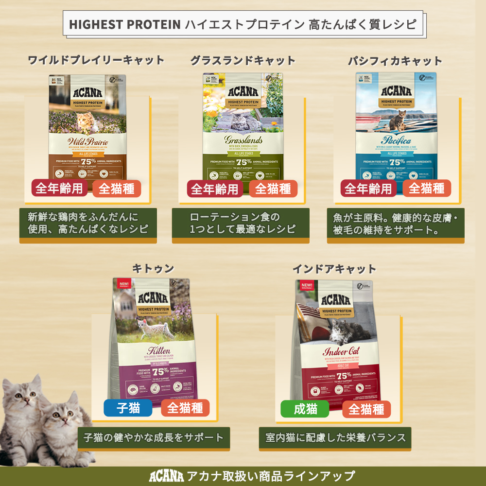 ACANA（アカナ） ワイルドプレイリーキャット 4.5kg : 豊富な品揃え