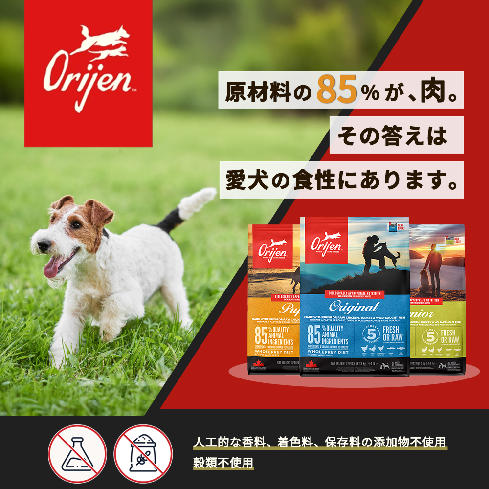ORIJEN（オリジン） オリジンオリジナル 6kg : 豊富な品揃えペット用品