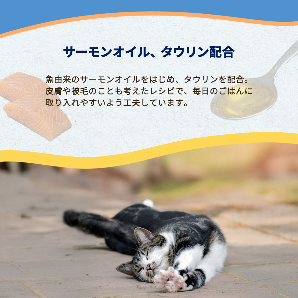 ソリッドゴールド KMT インディゴムーン 2kg 賞味期限:2027/10/10