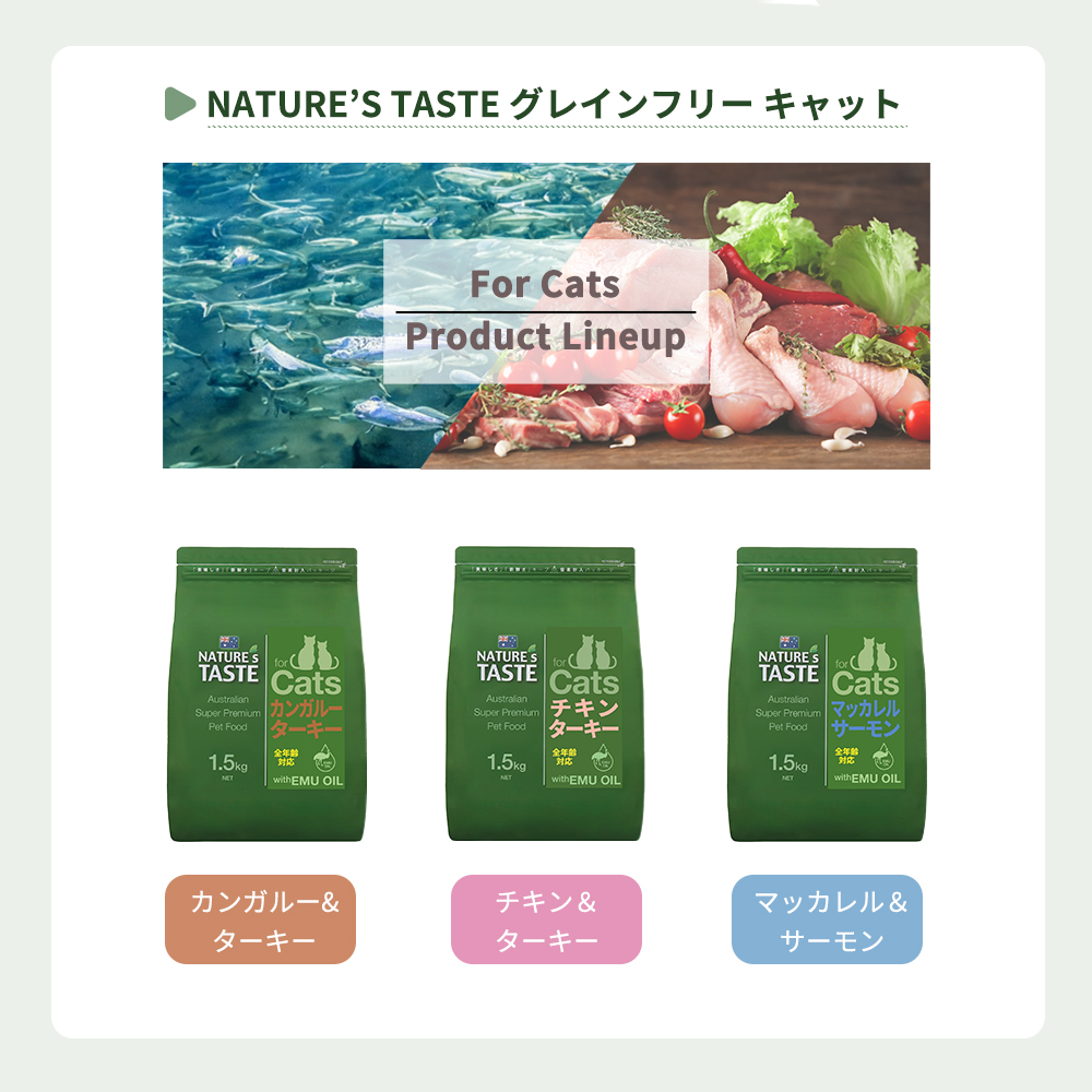 ネイチャーズテイスト 　グレインフリー 　マッカレル＆サーモン For Cats ネイチャーズテイスト（NATURE's TASTE） グレインフリー マッカレル