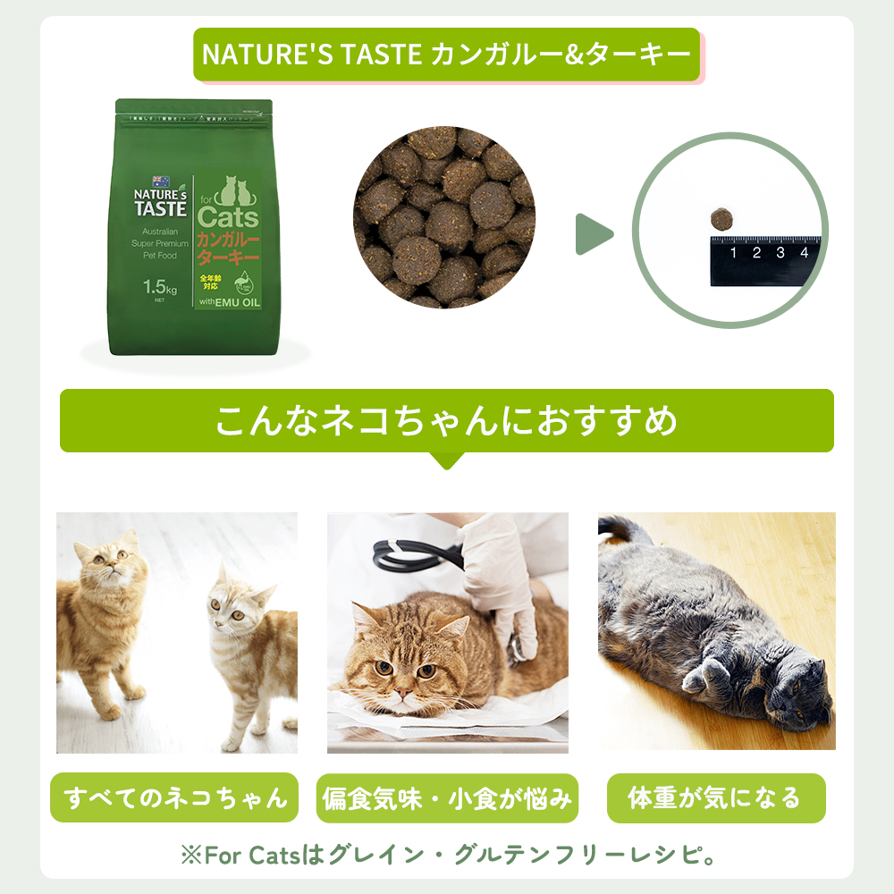 ネイチャーズテイスト（NATURE's TASTE） グレイン＆グルテンフリー
