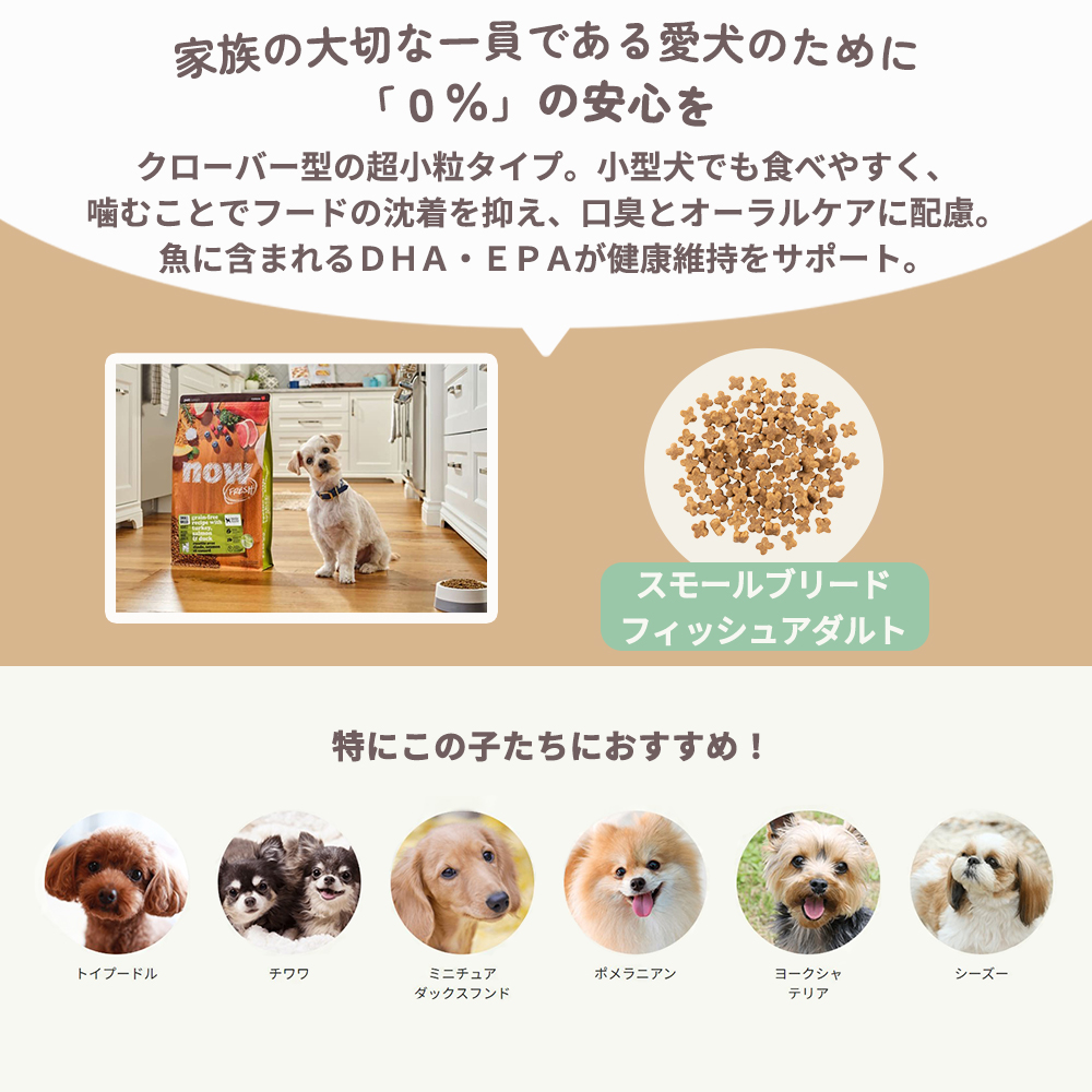 NOW FRESH ナウフレッシュ グレインフリー スモールブリードアダルト