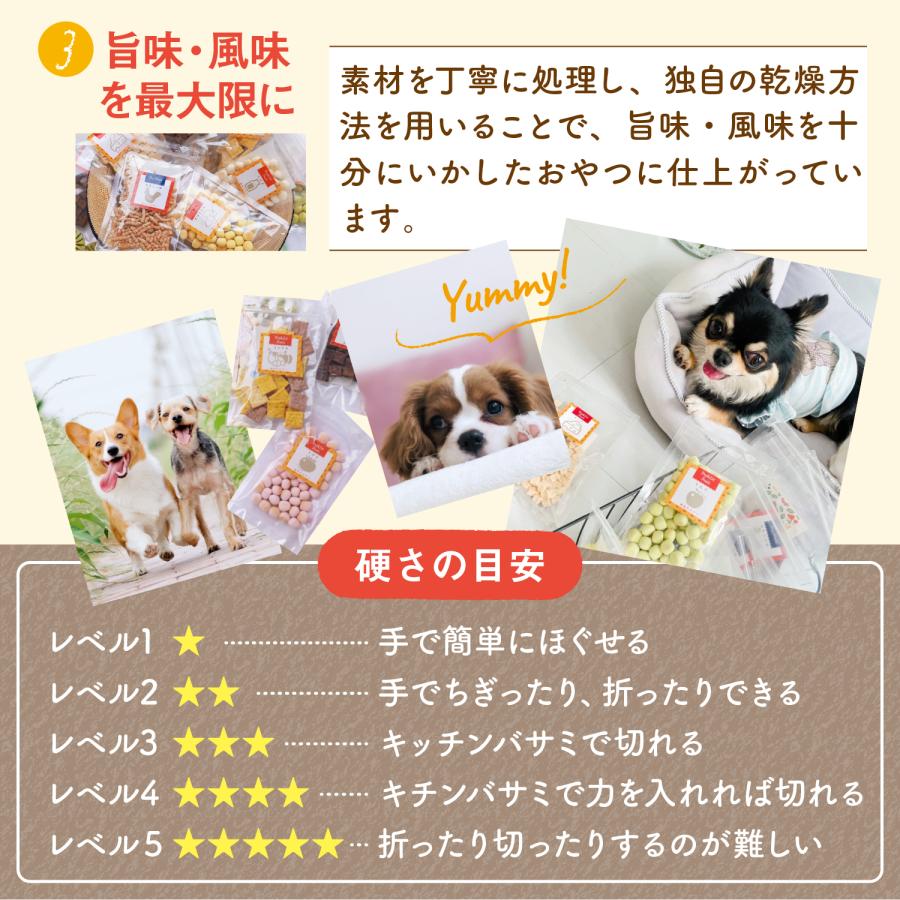 犬 おやつ 無添加 国産 鹿肉 キューブ 40g トリーツ しつけ 低