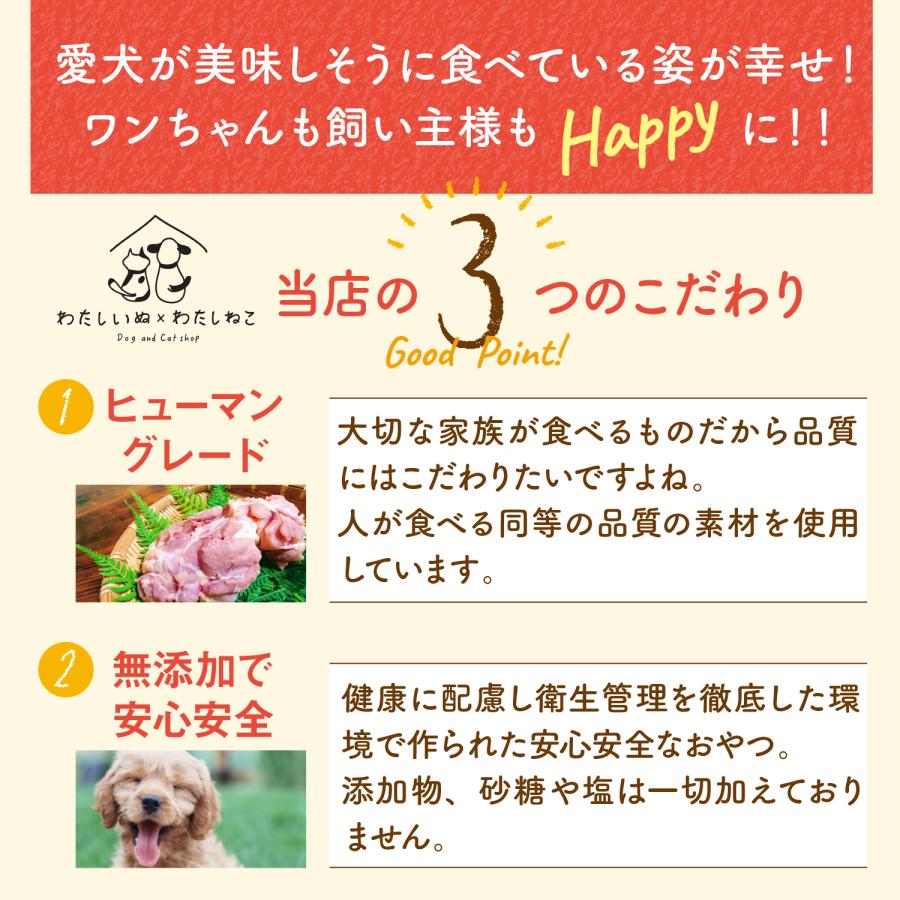犬 おやつ 無添加 魚 国産 北海道産 鮭ミンチスティック 40g 低