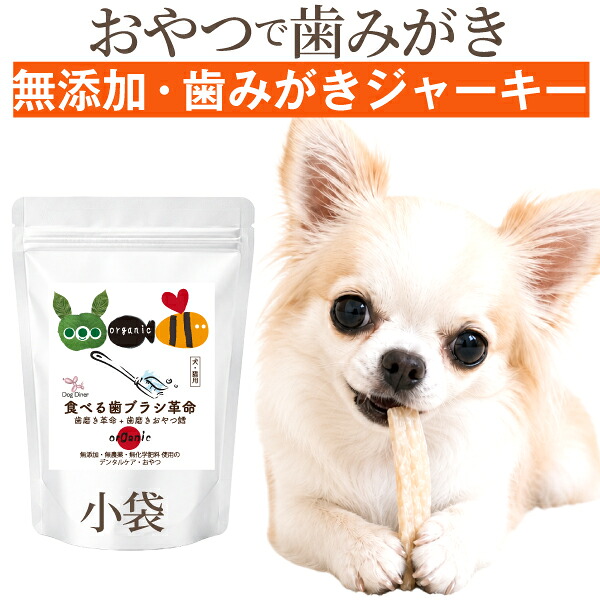 ドッグダイナー 食べる歯ブラシ革命 小袋24g 犬・猫用 歯磨きおやつ