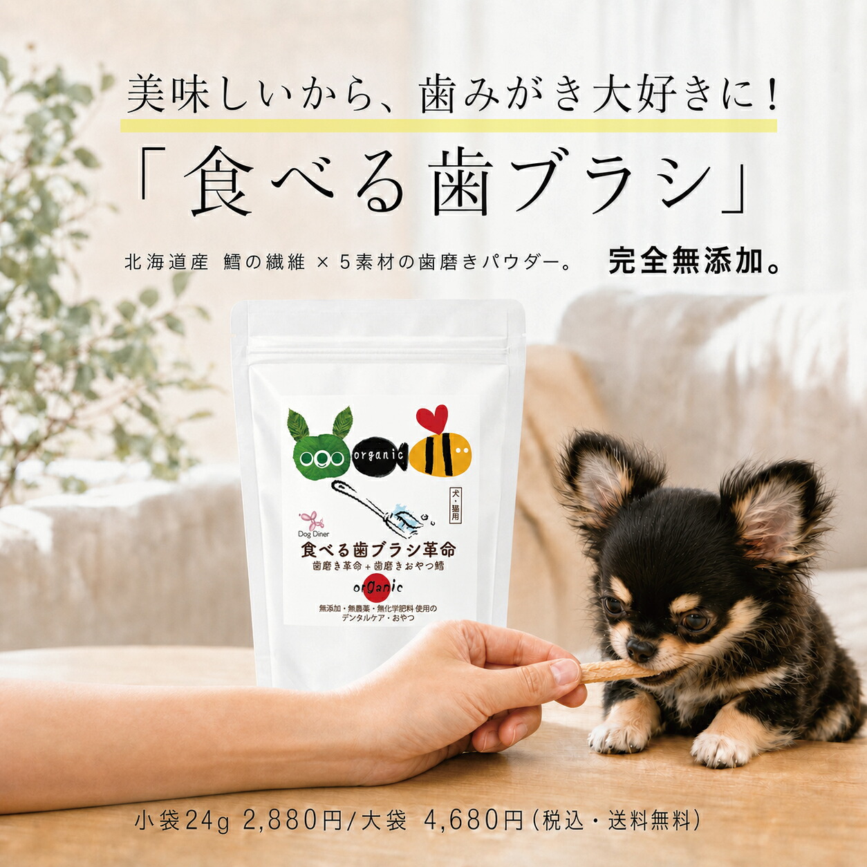 ドッグダイナー 食べる歯ブラシ革命 小袋24g 犬・猫用 歯磨きおやつ