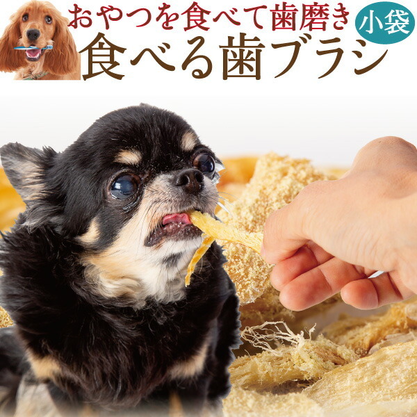 食べる歯磨き革命・犬の口臭・虫歯に